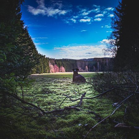 Fewo An Der Zwaens Штольберг Экстерьер фото
