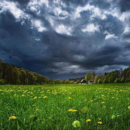 Fewo An Der Zwaens Штольберг Экстерьер фото