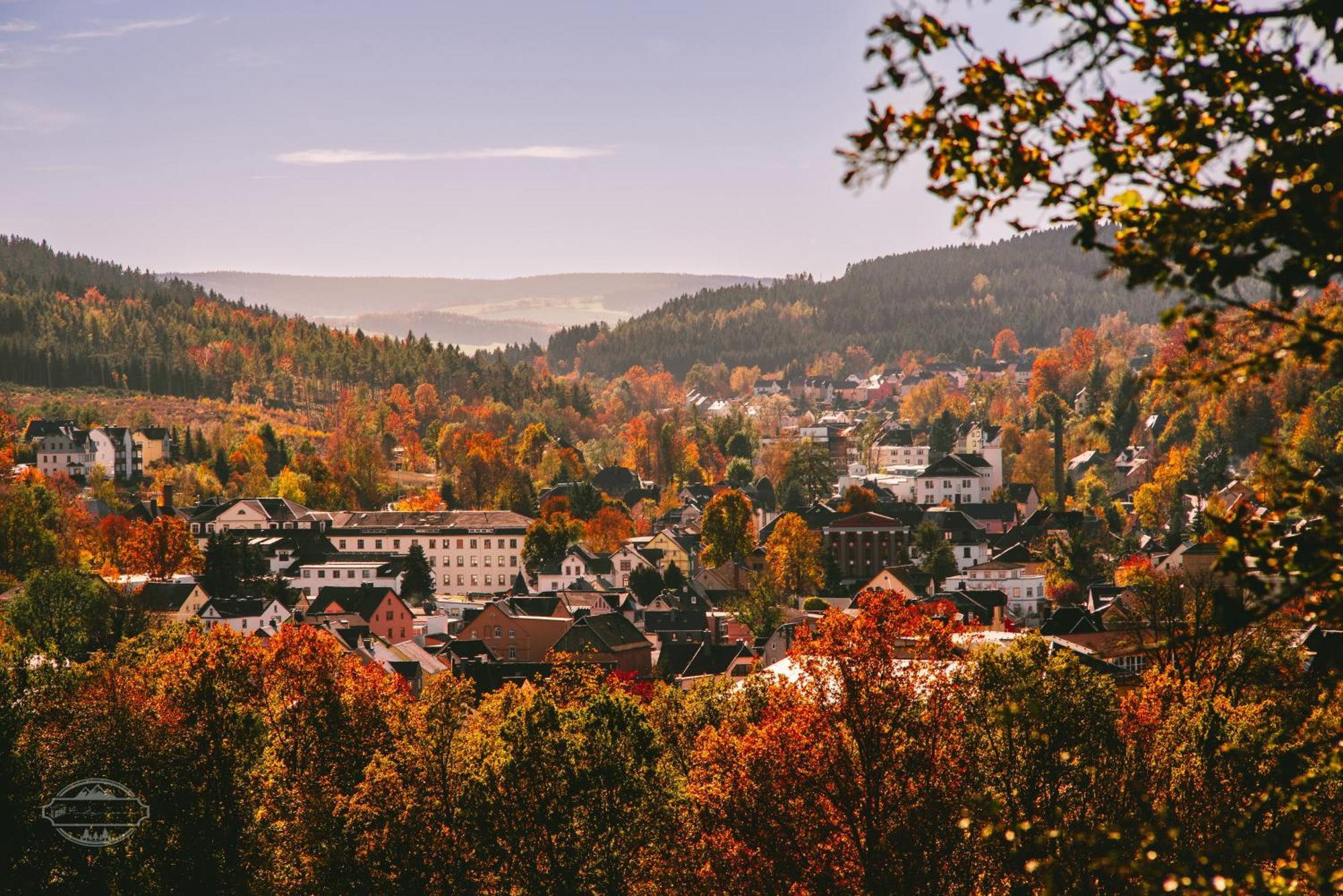 Fewo An Der Zwaens Штольберг Экстерьер фото